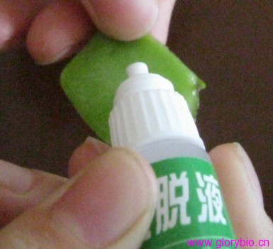 农药残留速测卡