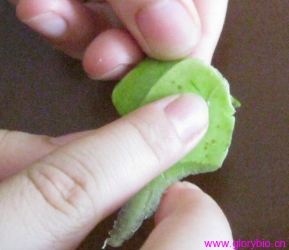 农药残留速测卡