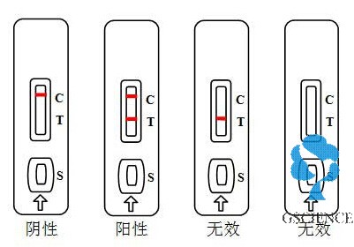 动物疫病检测卡