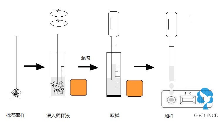 宠物粪便检查流程图