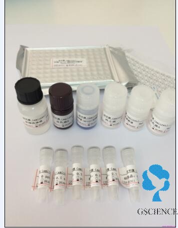 血糖测定试剂盒