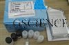 兔雌二醇E2 ELISA试剂盒
