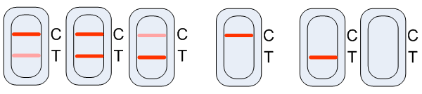 呕吐毒素快速检测卡